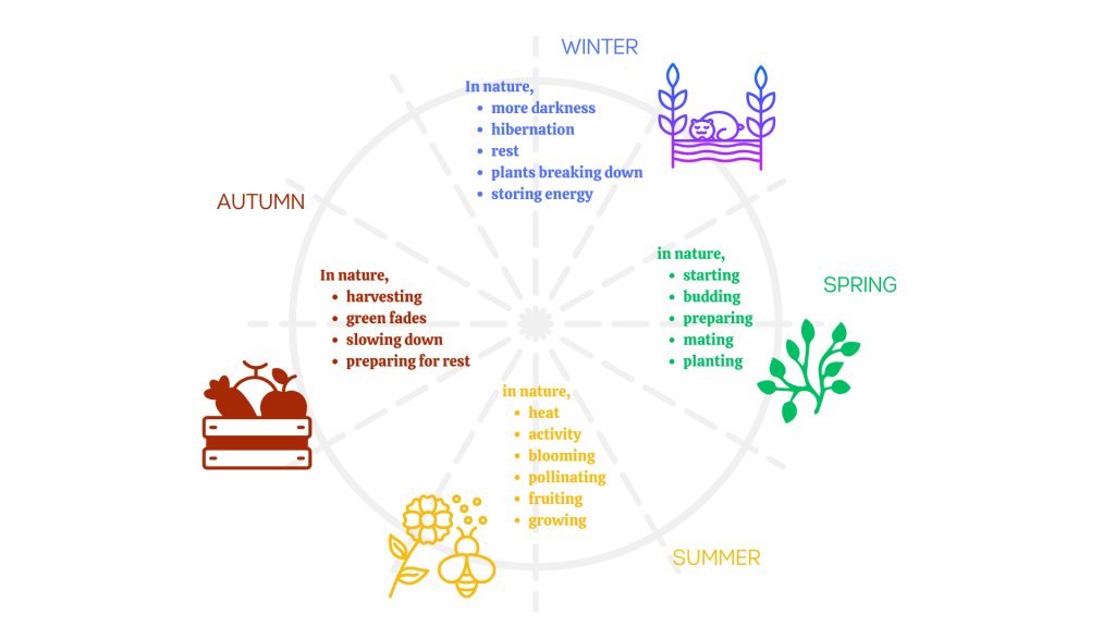 Cycle Of Year